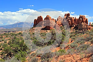 Southwest Desert Landscape, Arches National Park, Utah