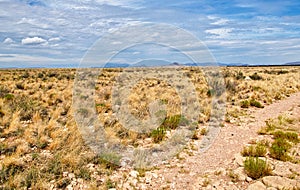 Southwest Desert near Winslow, Arizona photo