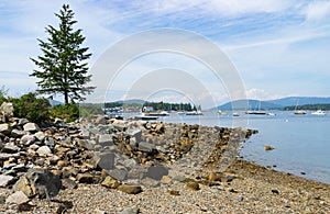 Southwest Harbor in Maine