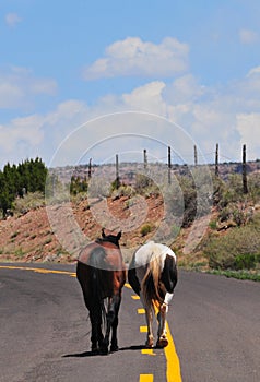 Southwest Landscape with Horses