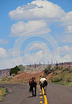 Southwest Landscape with Horses