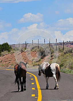 Southwest Landscape with Horses