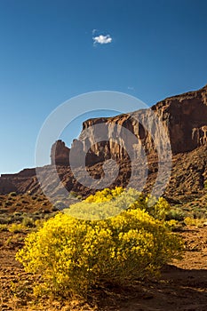 Southwest USA landscape photo