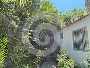 Southwestern Foliage And Architecture