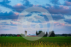 Southwestern Ontario Farm at Sunset