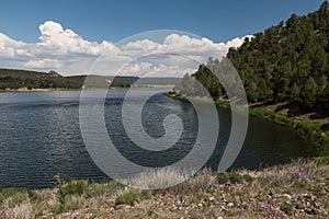 Southwestern shore of Quemado Lake, New Mexico photo