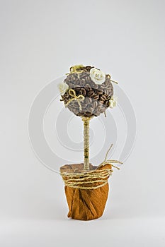 Souvenir Coffee Tree