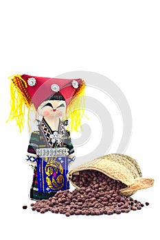 The souvenir dolls in hill tribe clothes