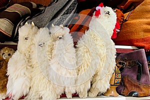 Souvenir wool lama photo