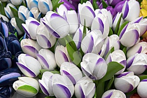 the Souvenirs at Bloemenmarkt - floating flower market on Singel Canal. Amsterdam. Netherlands