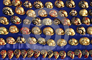 Shells from Luang Prabang Laos photo