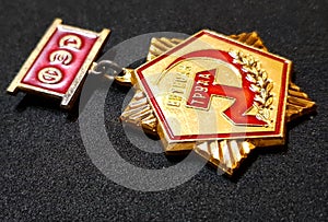Soviet medal badge veteran ww2