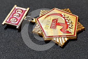 Soviet ussr medal rare badge veteran