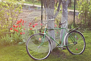 Soviet vintage bicycle in garden