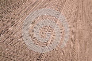 Sowed field. Agricultural fields in spring. Aerial.