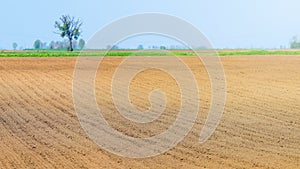 Sowed field. Agricultural fields in spring. Sowing crops.