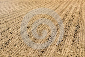 Sowed field. Agricultural fields in spring. Sowing crops.