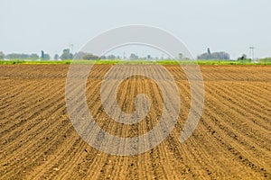 Sowed field. Agricultural fields in spring. Sowing crops.