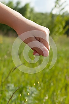 sower& x27;s hand with wheat seeds throwing to field.