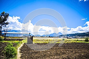 Sowing field large farm with volcano in the distance with clouds, photo