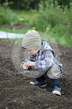 Sowing seeds photo