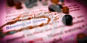sowing of seeds text written on red colour covering pattern abstract background