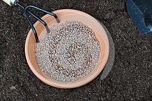 sowing tools with radish seeds to sow in the urban vegetable garden