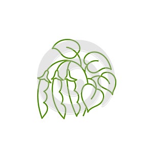 Soy bean plant icon. Flourish design element. Editable outline stroke.