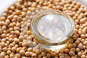 Soy bean and soy oil on table