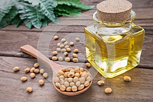 Soy bean and soy oil on wooden table