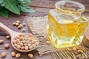 Soy bean and soy oil on wooden table