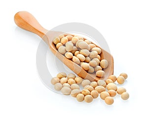 Soy bean in wood scoop on whit background