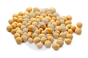 Soy beans photo