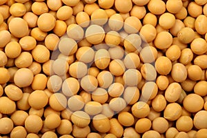 Soy beans