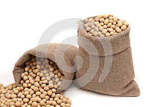 Soy beans