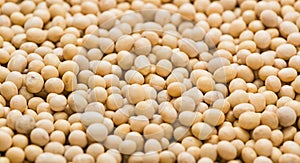 Soy Beans background