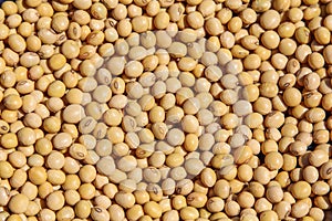 Soy beans harvested in Tocantins, Brazil.