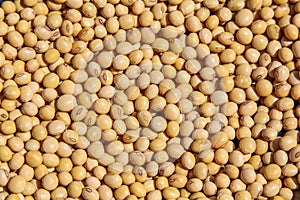 Soy beans harvested in Tocantins, Brazil. photo