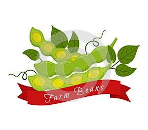Soy beans label, logo. Farm product, vegetarian food. Vector ill