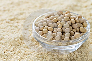 Soy Flour Background