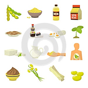 Soy Food Icons photo