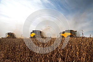 Soy harvest.