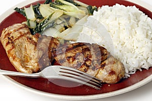 Soy marinaded chicken breast meal