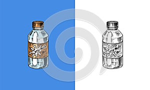 Soy milk sketch in a glass bottle. Detailed vegetarian food and leaves drawing. Hand drawn illustration for menu, label