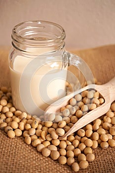 Soy milk and soy beans