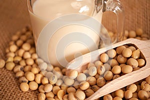 Soy milk and soy beans