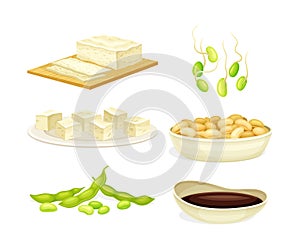 Soy Products with Legume Pod, Beans in Bowl, Tofu Cheese and Sauce Vector Set