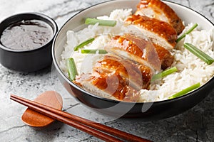 Soy Sauce Chicken See Yao Gai served with rice and dipping sauce closeup. Horizontal photo