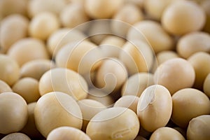 Soya bean photo