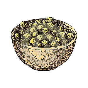 soya bean food bowl sketch hand drawn vector